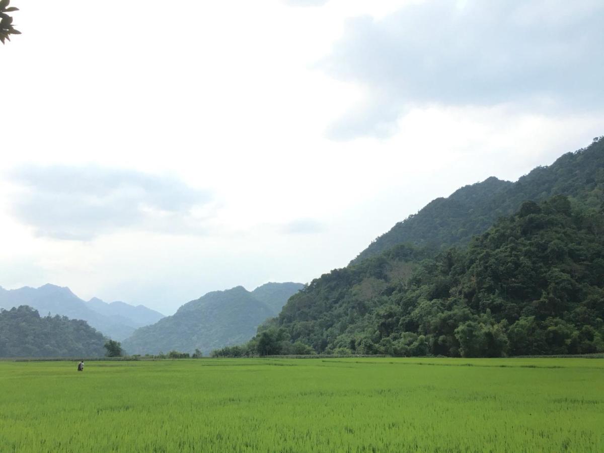 Hoang Quan Homestay Ba Be Exteriér fotografie